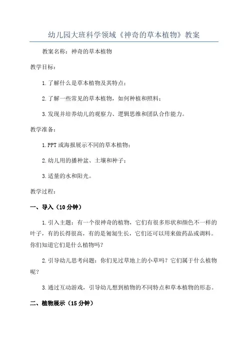 幼儿园大班科学领域《神奇的草本植物》教案