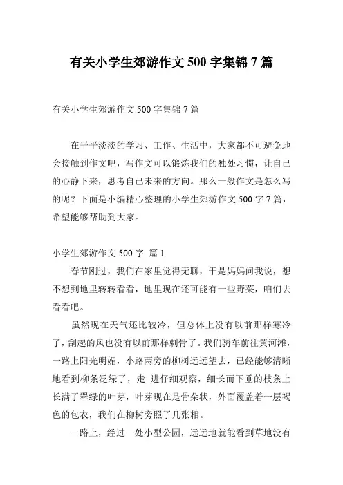 有关小学生郊游作文500字集锦7篇