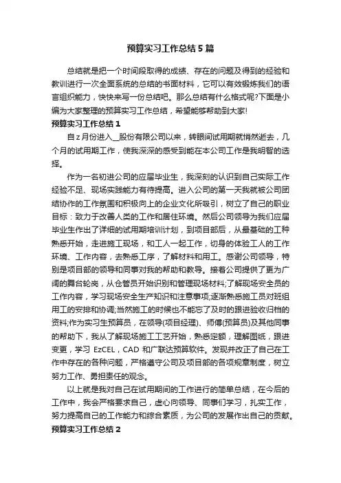 预算实习工作总结5篇