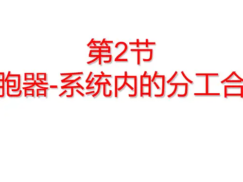 经典：人教版高一生物必修一第3章第2节+细胞器-系统内的分工合作+课件