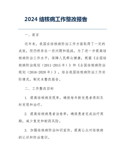 2024结核病工作整改报告