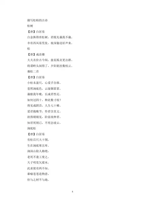 描写松柏的古诗精选