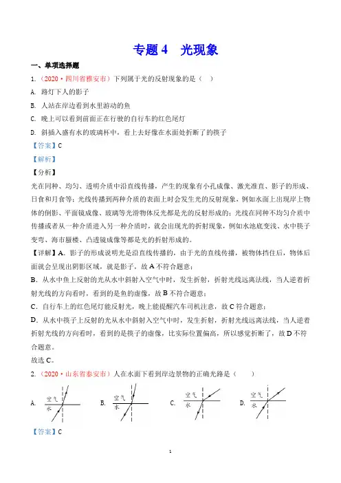 2020中考物理专题专题4  光现象(第1期)(解析版)