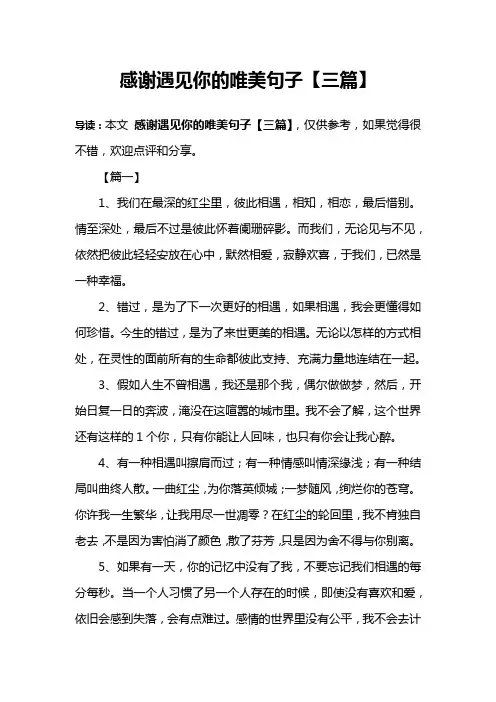 感谢遇见你的唯美句子【三篇】