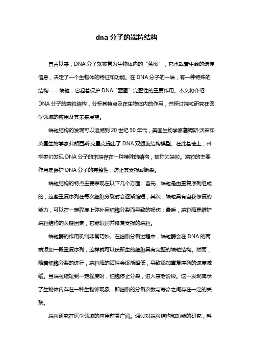dna分子的端粒结构