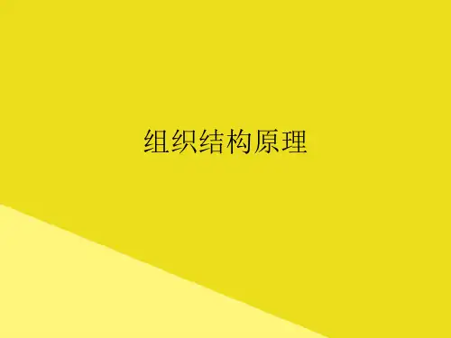 组织结构原理PPT资料(正式版)