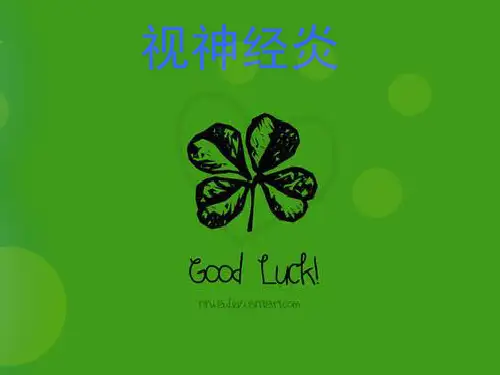 视神经病的护理PPT医学课件