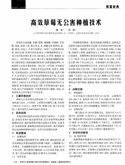 高效草莓无公害种植技术
