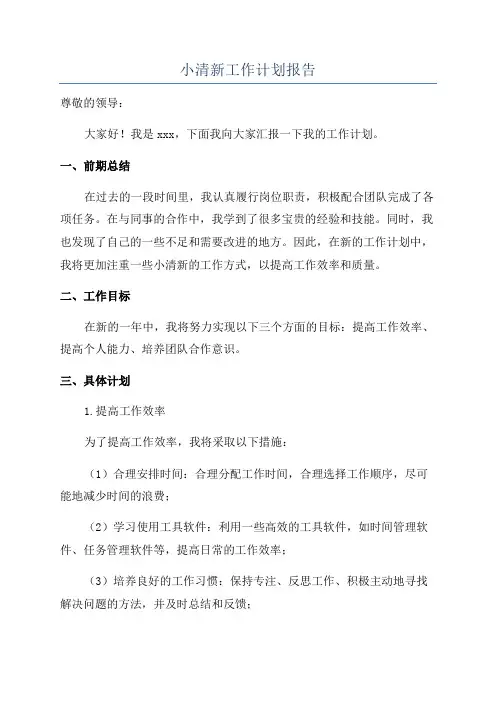 小清新工作计划报告