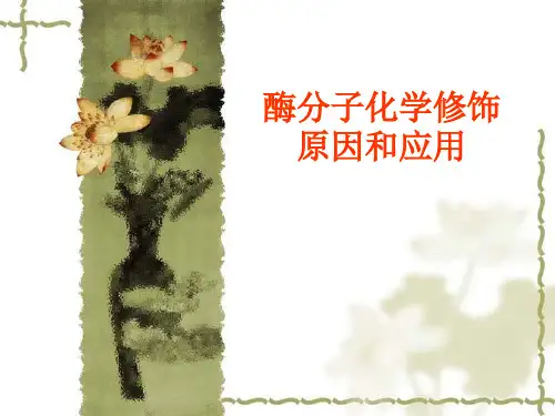 酶分子化学修饰原因和应用