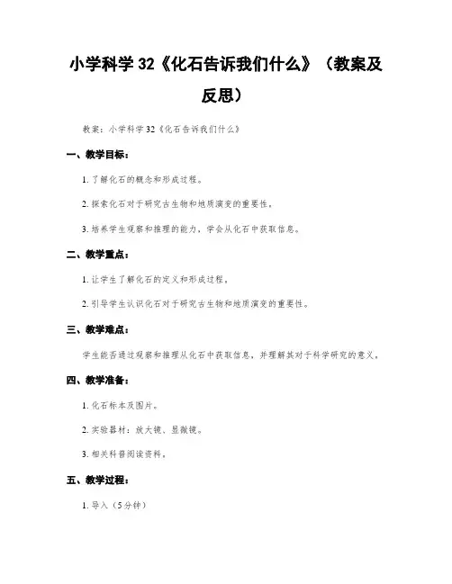 小学科学32《化石告诉我们什么》(教案及反思)