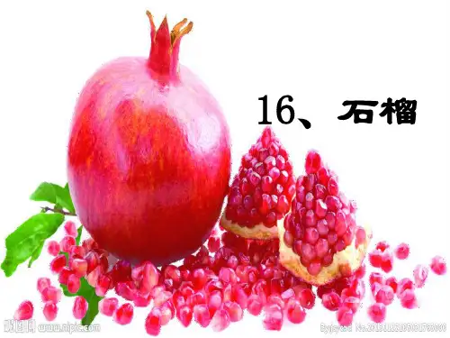 苏教版小学三年级语文上册 石榴ppt课件