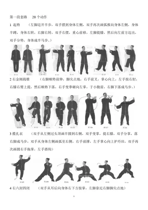陈式五十六式太极拳名称及动作讲解