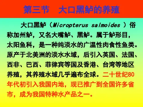 第三节 大口黑鲈的养殖