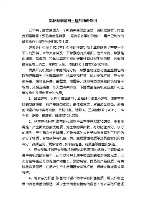 揭秘酵素菌对土壤的神奇作用