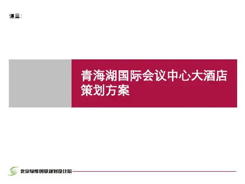 青海湖国际会议中心大酒店策划方案