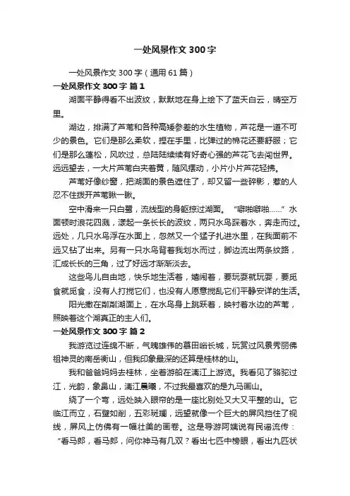 一处风景作文300字（通用61篇）