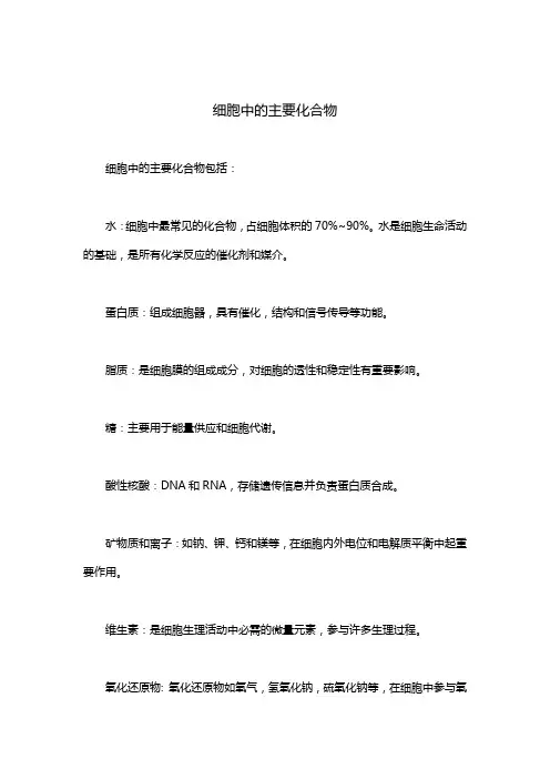 细胞中的主要化合物