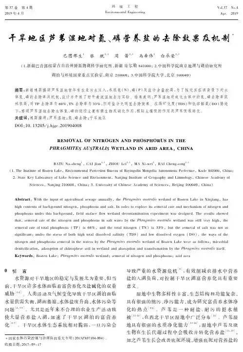 干旱地区芦苇湿地对氮、磷营养盐的去除效果及机制