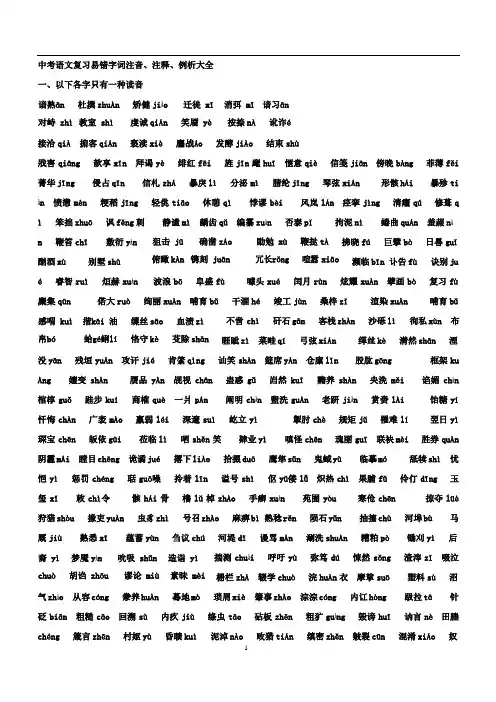 中考语文易错字(绝对推荐)