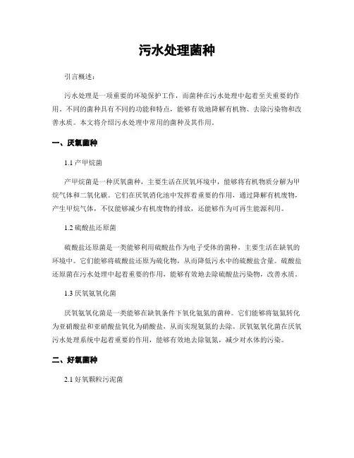 污水处理菌种