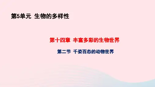 八年级生物上册第5单元第14章丰富多彩的生物世界第二节千姿百态的动物世界pptx教学课件新版苏教版