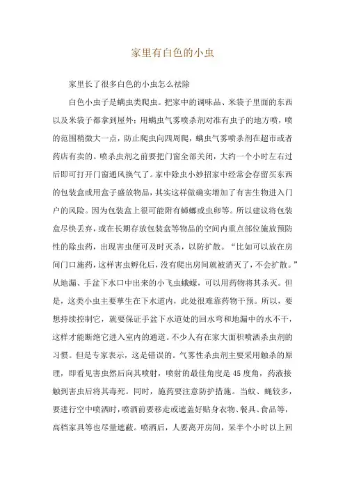 家里有白色的小虫