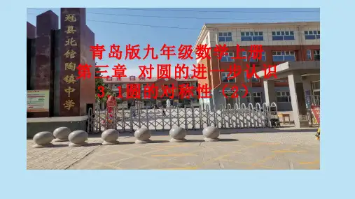 青岛版九年级数学上册第三章对圆的进一步认识3.1圆的对称性(2)课件(14张)