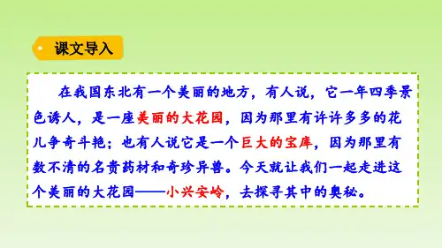 美丽的小兴安岭ppt精品课件完美版