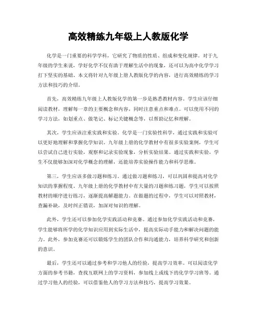 高效精练九年级上人教版化学