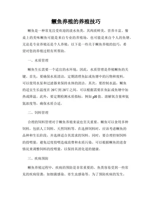 鳜鱼养殖的养殖技巧