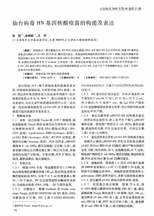仙台病毒HN基因核酸疫苗的构建及表达