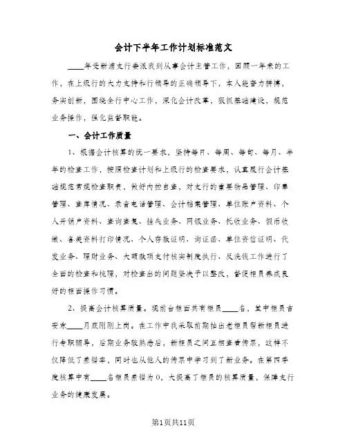 会计下半年工作计划标准范文(6篇)