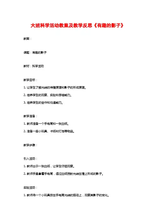大班科学活动教案及教学反思《有趣的影子》