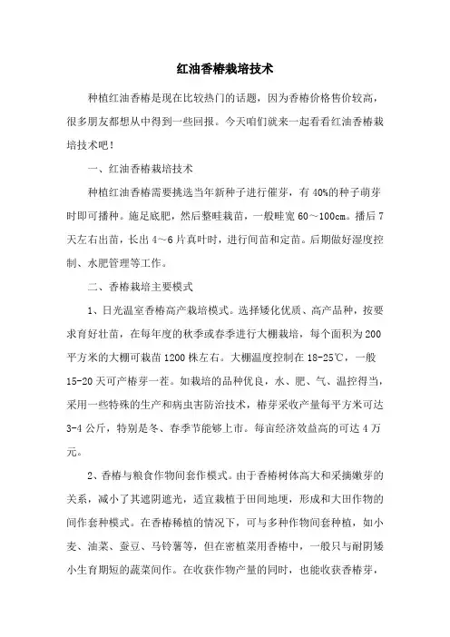 红油香椿栽培技术