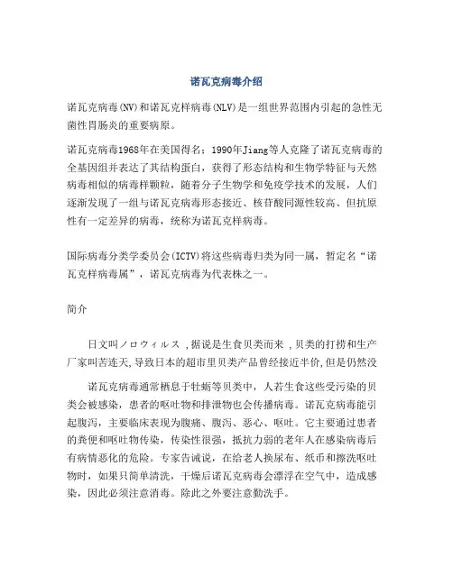 诺瓦克病毒介绍