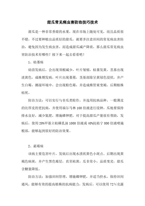 甜瓜常见病虫害防治技巧技术