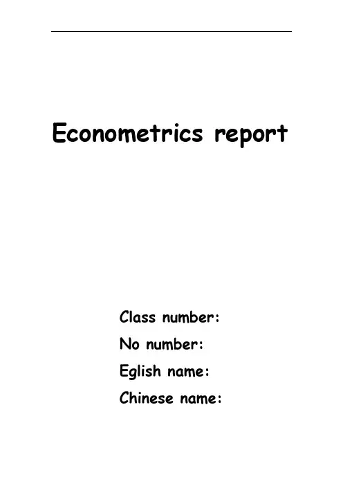 计量经济学实验报告英文版