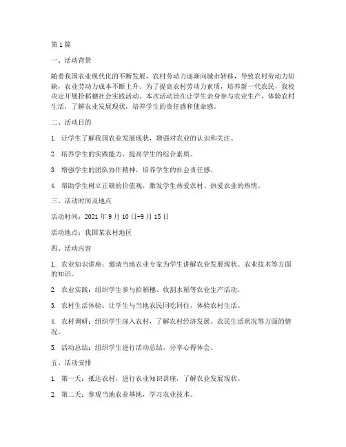拾稻穗社会实践活动(3篇)
