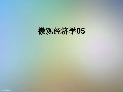 微观经济学05
