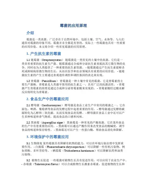 霉菌的应用原理