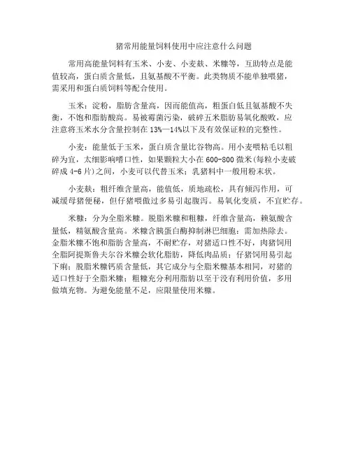 猪常用能量饲料使用中应注意什么问题
