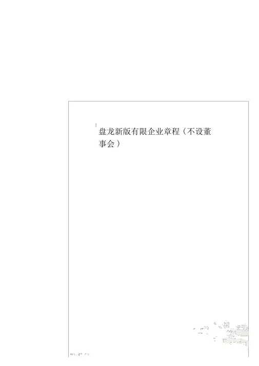 盘龙新版有限公司章程(不设董事会)