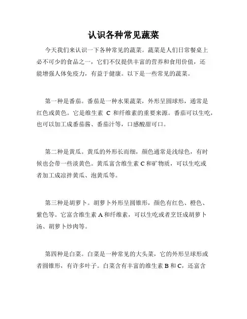 认识各种常见蔬菜