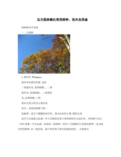 北方园林绿化常用树种、花卉及用途