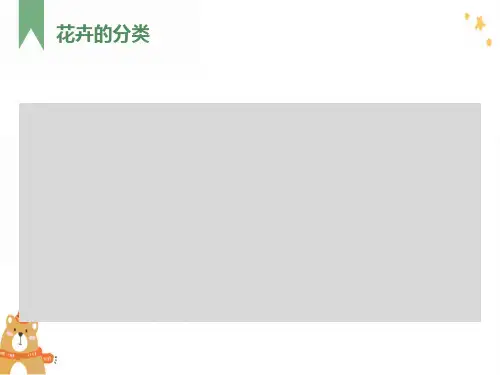 园林花卉(花卉的分类)