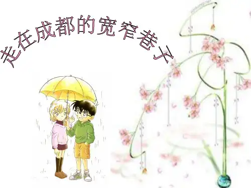 成都宽窄巷子精品PPT课件