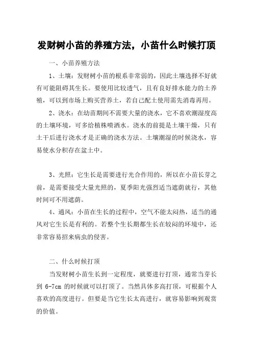 发财树小苗的养殖方法,小苗什么时候打顶