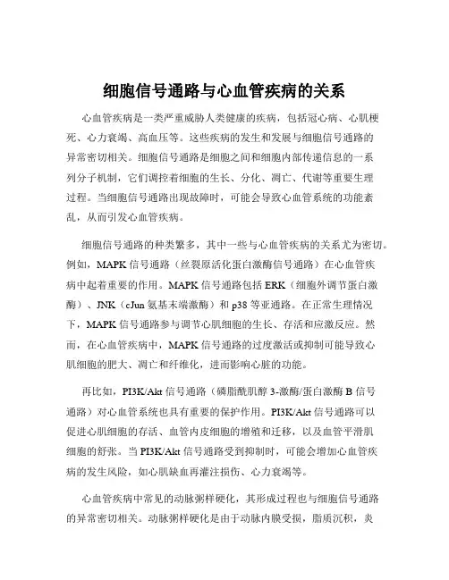细胞信号通路与心血管疾病的关系