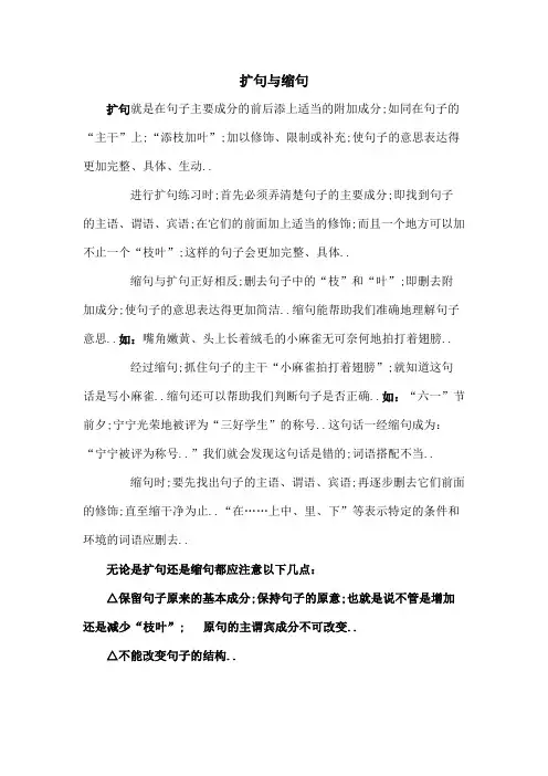 小升初扩句与缩句详细讲解及练习含答案